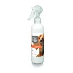 Shampoo spray senza risciacquo